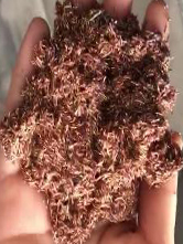 腾博会官网 - 诚信为本,专业服务!